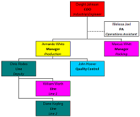 Organization Chart Maker for Microsoft® Excel®
