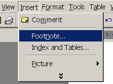 Insert Footnote Menu Options