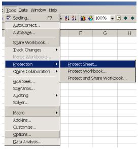 Excel Password Protection