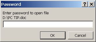 Password request when opening the file